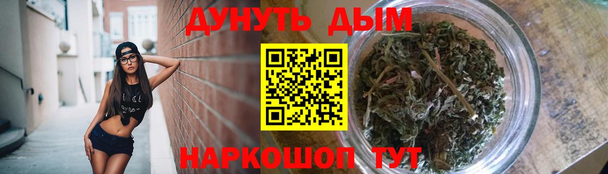 Конопля сатива Екатеринбург